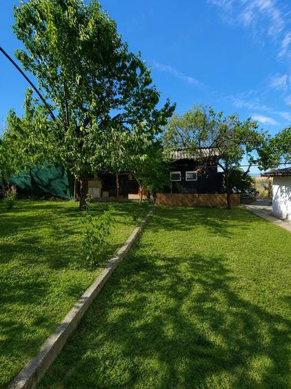 Casă cu 2 camere cu Teren 4400 Mp în Viile Satu Mare