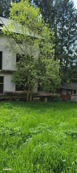 Busteni-Casa de vanzare - 1