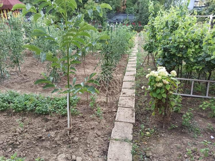 Casă individuală cu 4 camere cu Canalizare în Sud