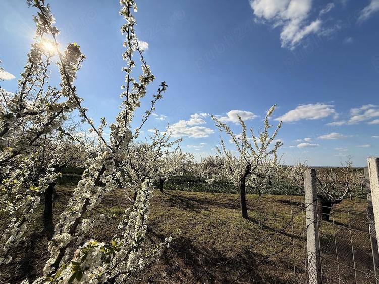 Teren intravilan Strada Piatra Craiului - 1935 mp - 7