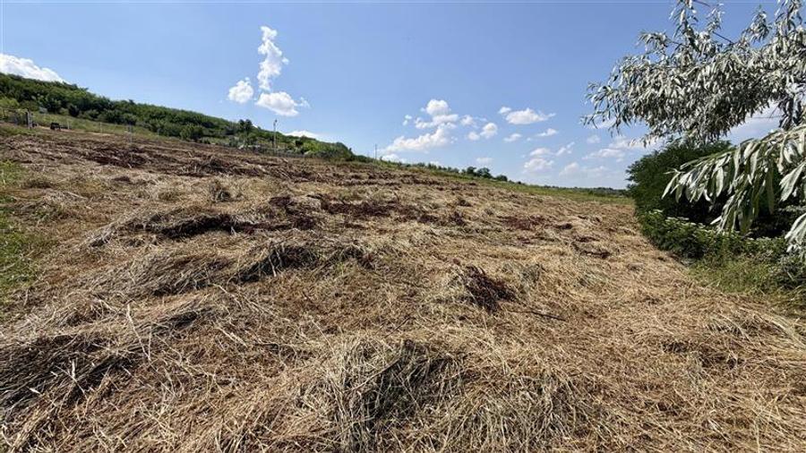 Teren Construcții intravilan de 1500 mp, în Popricani