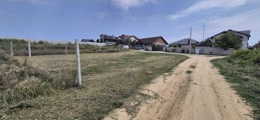 Teren intravilan 487 mp / 2 deschideri / pozitie unica in Preajba - 9