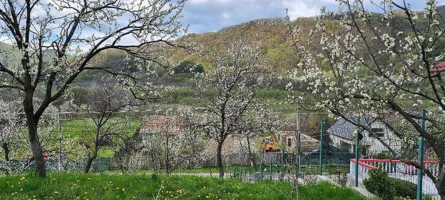 Teren de 1087 mp, în Corbu (Cătina)