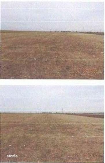 Teren de 5000 mp, în Verguleasa