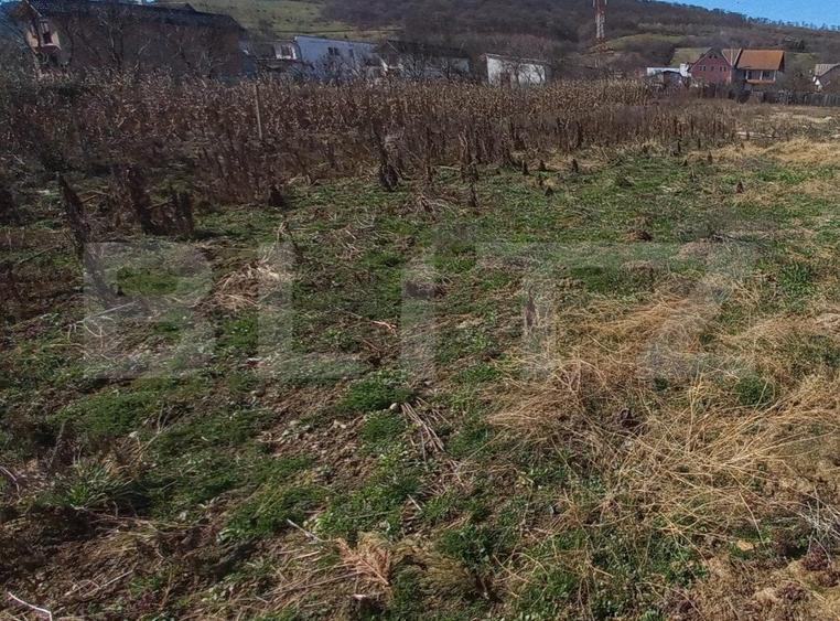 Teren Construcții intravilan de 1200 mp, în Viișoara