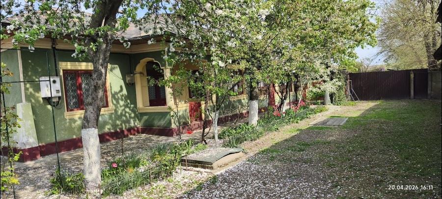Casă cu 4 camere în Vedea