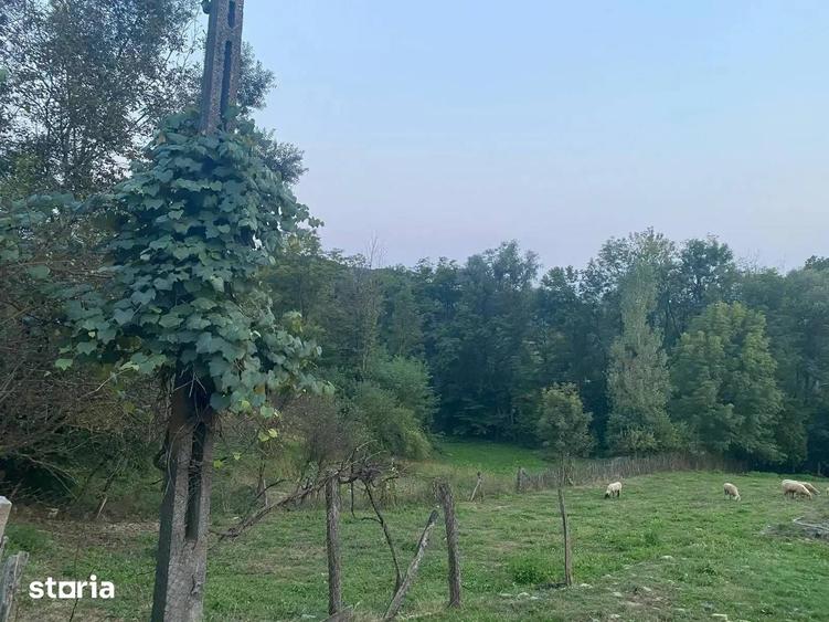TEREN DE VANZARE 1.688 MP| SULTANU | VISINESTI | DEALURILE SULTANULUI - 1