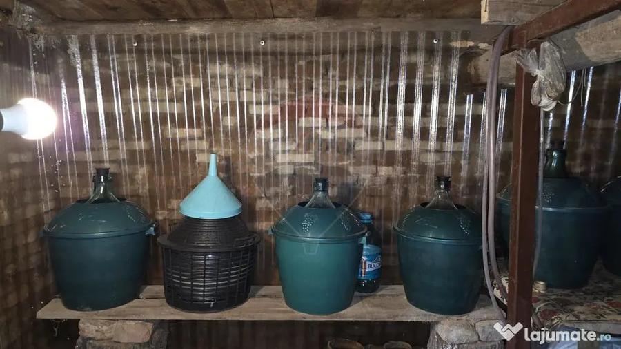 Domeniu rural, gospodarie/multifunctionala cu casa, livad... - 18