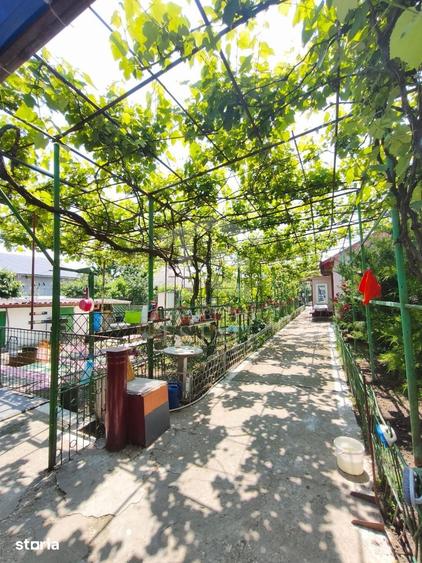 Casă cu 5 camere cu Teren 800 Mp în Central