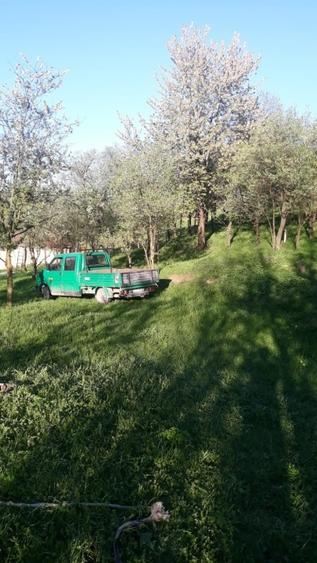 Teren Construcții intravilan de 7635 mp, în Baciu