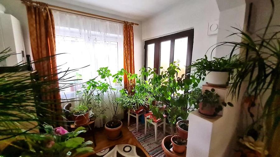 Casa individuala 100mp teren 530mp Terezian - 11