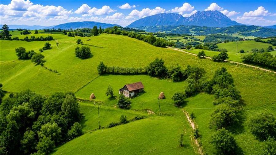 Teren Construcții intravilan de 10335 mp, în Poiana Mărului