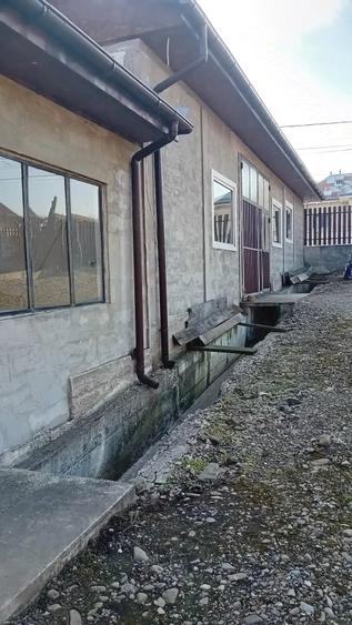 Casă cu Teren 1500 Mp în Târpești