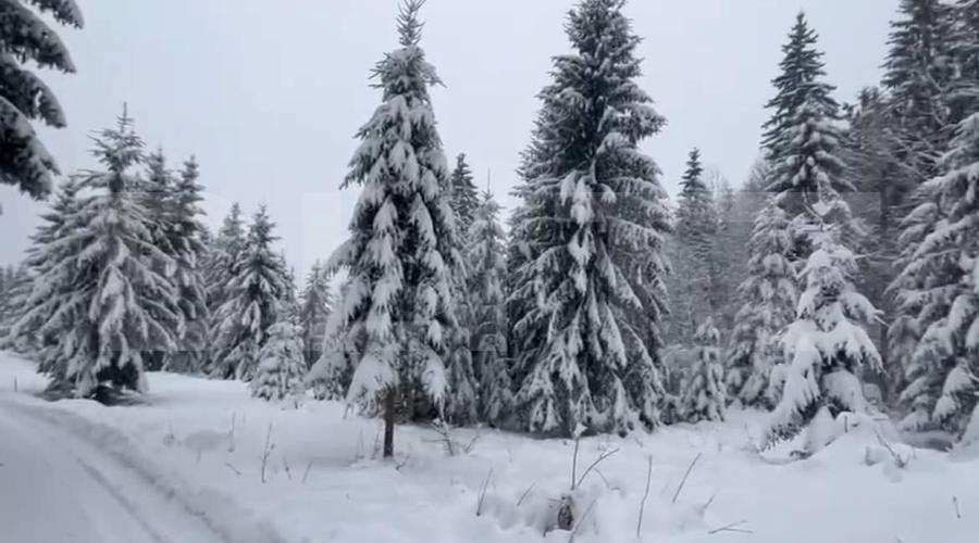 Teren Construcții intravilan de 1075 mp, în Colibița