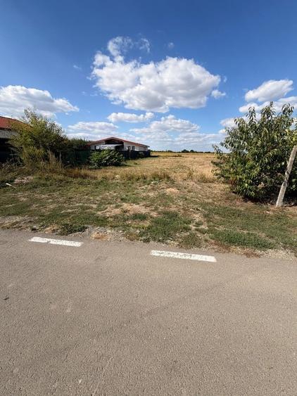 Teren de 700 mp, în Vetiș