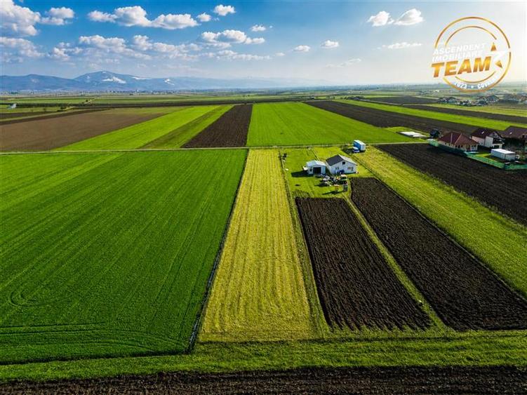 Teren Construcții intravilan de 2498 mp, în Chilieni