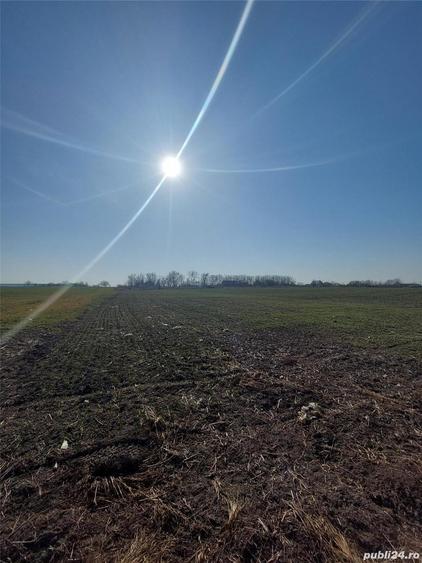 Teren de 22756 mp, în Vânători