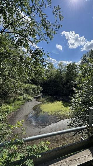 Teren de 17100 mp, în Halmeu