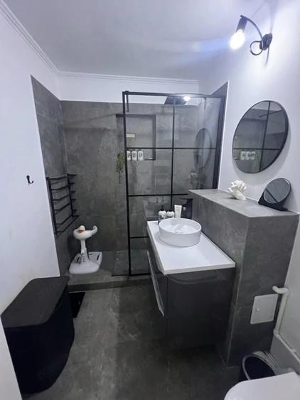 Apartament cu 3 camere decomandat în Rovine