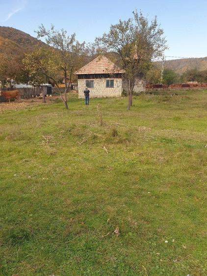 Casă cu Teren 3600 Mp în Balotești