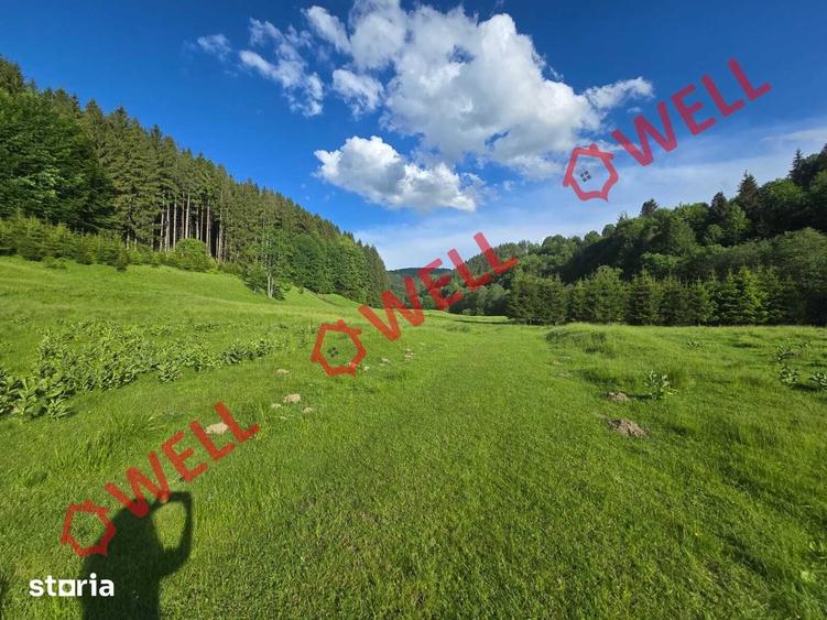 Teren de 57000 mp, în Vama Buzăului