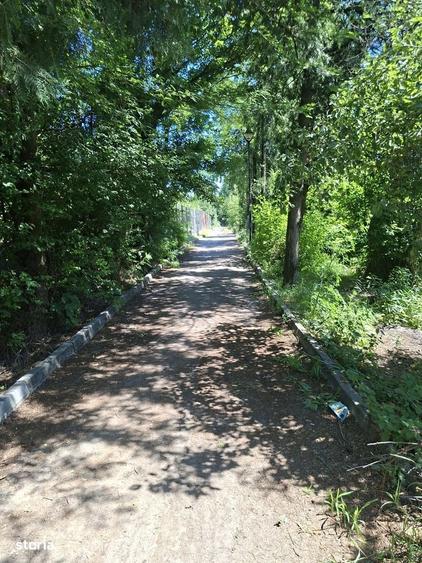 Casă cu 4 camere cu Teren 3000 Mp în Central
