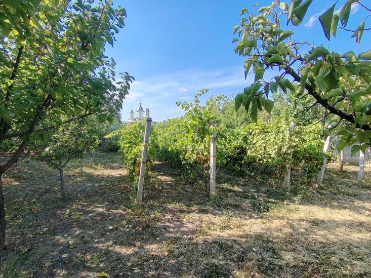 Teren Construcții de 2500 mp, în Odobești
