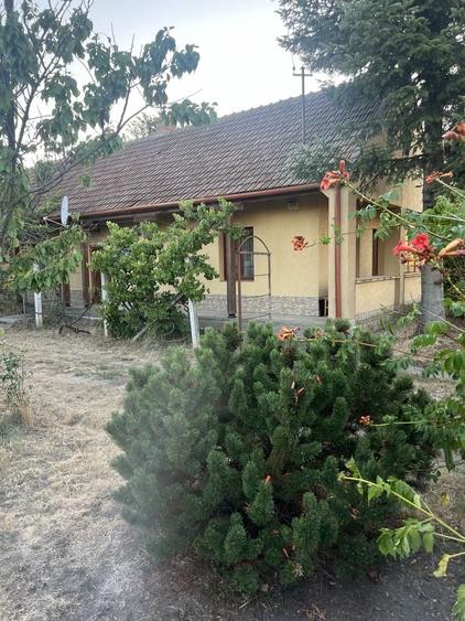 Casă cu 3 camere în Moftin