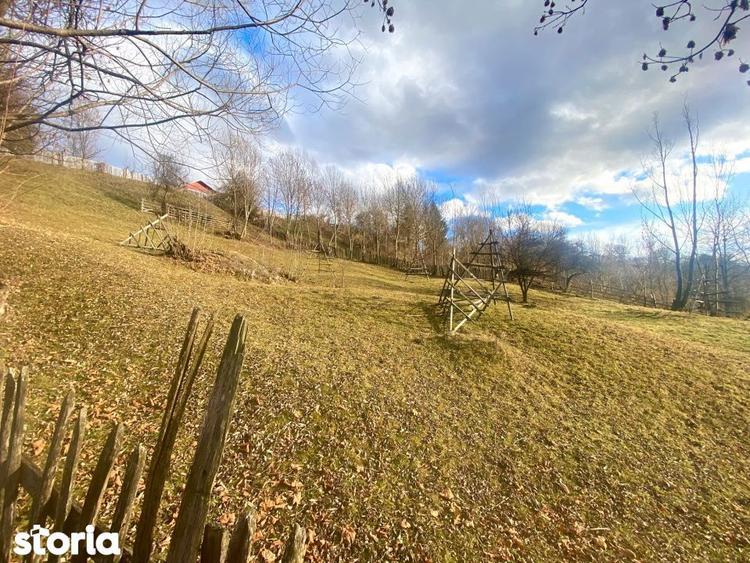 Teren de 1135 mp, în Valea Doftanei