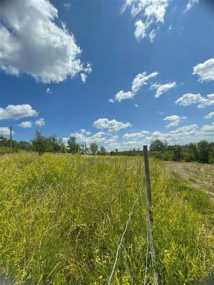 Teren Construcții intravilan de 1675 mp, în Podgoria