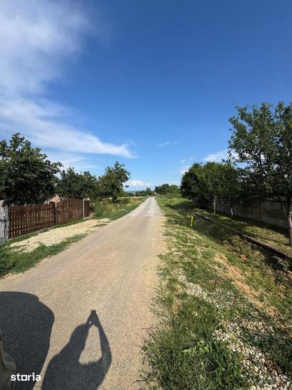 Teren de 3632 mp, în Viile Satu Mare