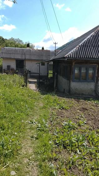 Casă cu 3 camere cu Teren 900 Mp în Telciu