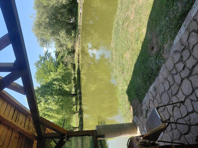 Teren de 3600 mp, în Vultureni