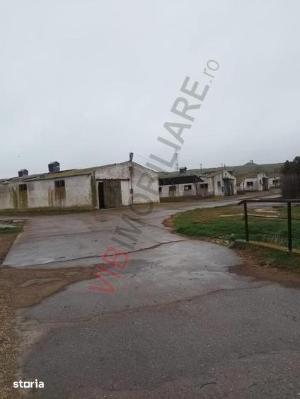 Teren de 1000000 mp, în Central