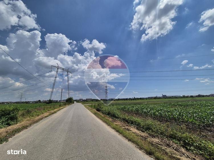 Teren intravilan de vanzare 4.087 mp Clinceni Olteni Ilfov - 3