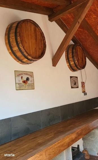Casă cu 6 camere cu Teren 2500 Mp în Fulga