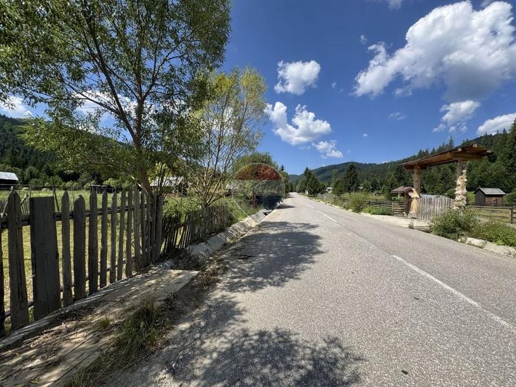 Teren Construcții intravilan de 2802 mp, în Borca