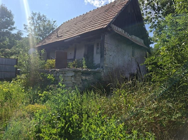 Teren Construcții intravilan de 1605 mp, în Feleacu
