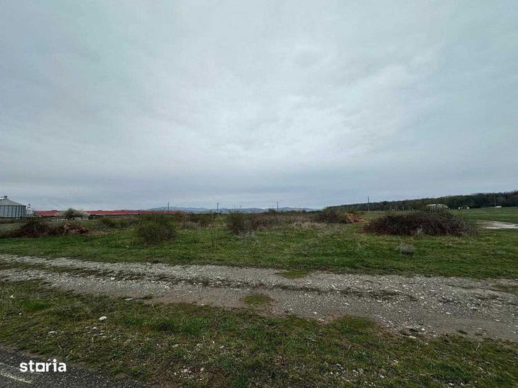 Teren de 5000 mp, în Bănești