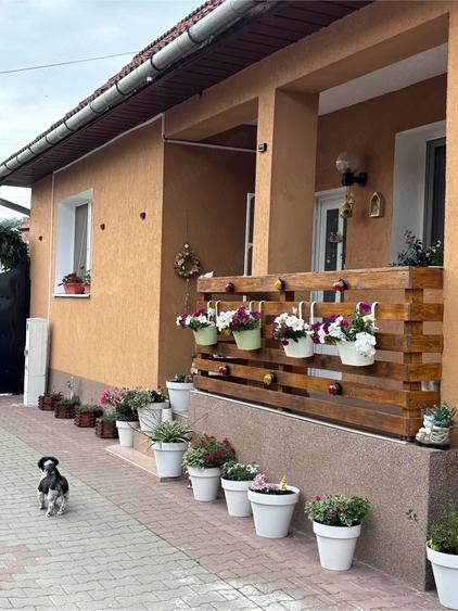Casa de vanzare. - 7