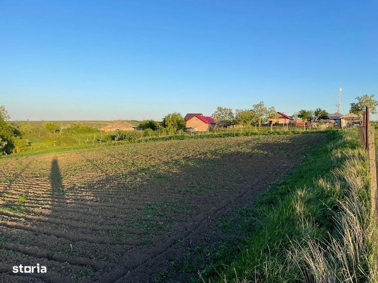 Teren de 3100 mp, în Bălțați