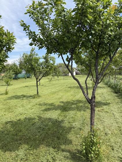 Casă cu 4 camere în Amaru