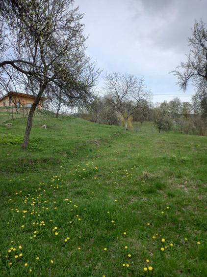 Teren de 3000 mp, în Căpățânenii Pământeni