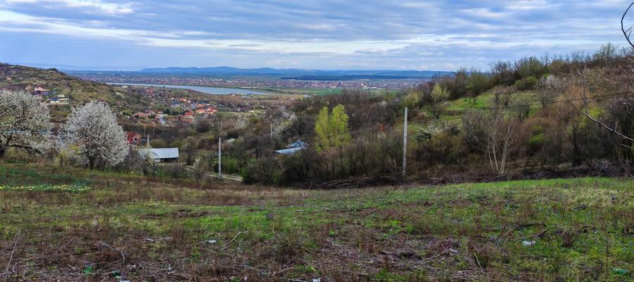 Teren de 1382 mp, în Podgoria