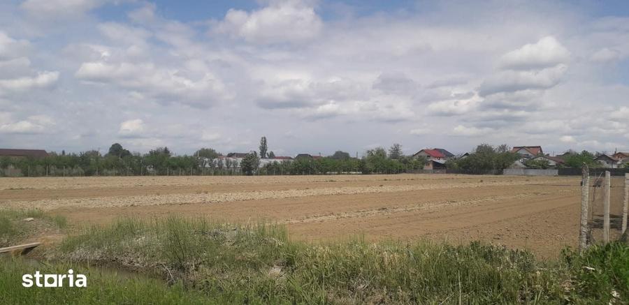 Teren de 11418 mp, în Mărăcineni