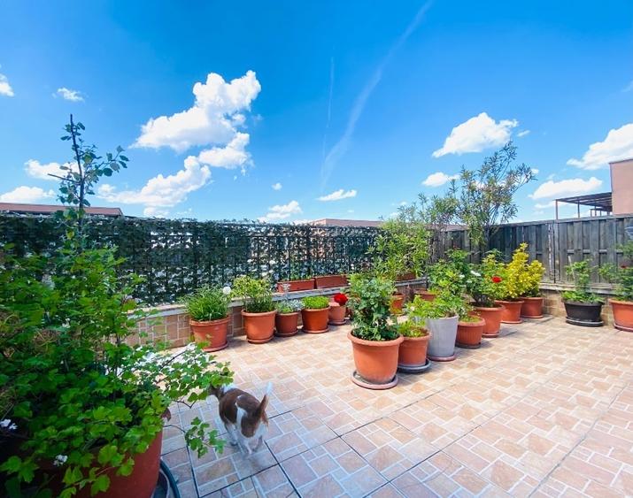 Apartament cu 2 camere decomandat, mobilat în Industriilor