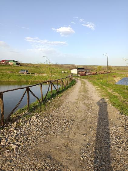 Teren de 35200 mp, în Bozieni