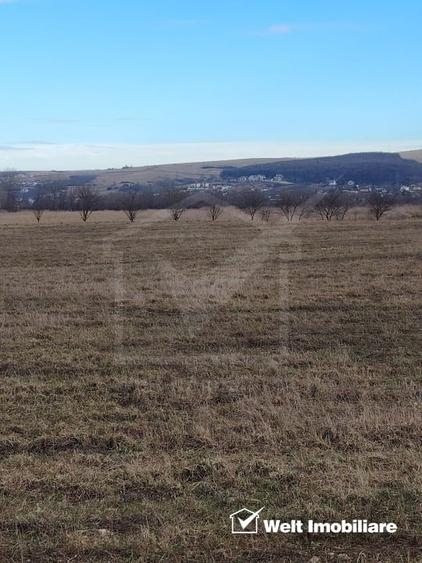 Teren Construcții intravilan de 8500 mp, în Jucu
