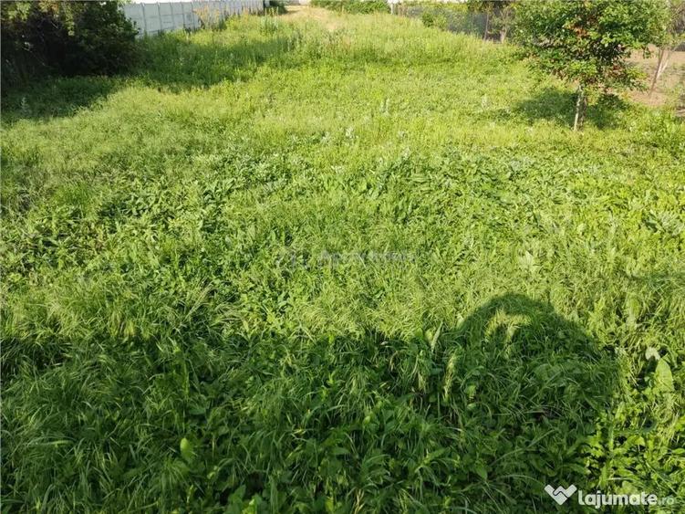 Teren de 850 mp, în Mihăilești