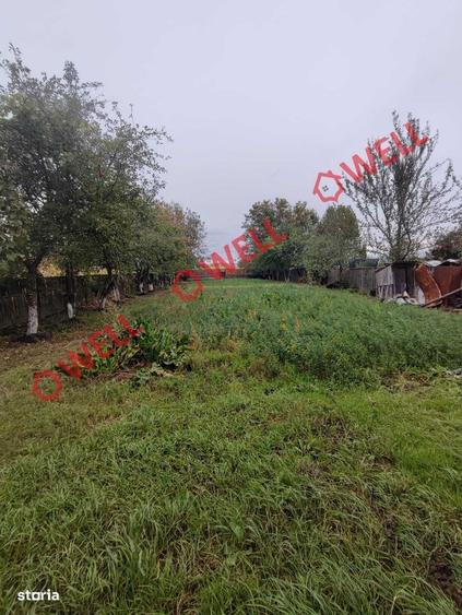 Casă cu 4 camere în Ilieni